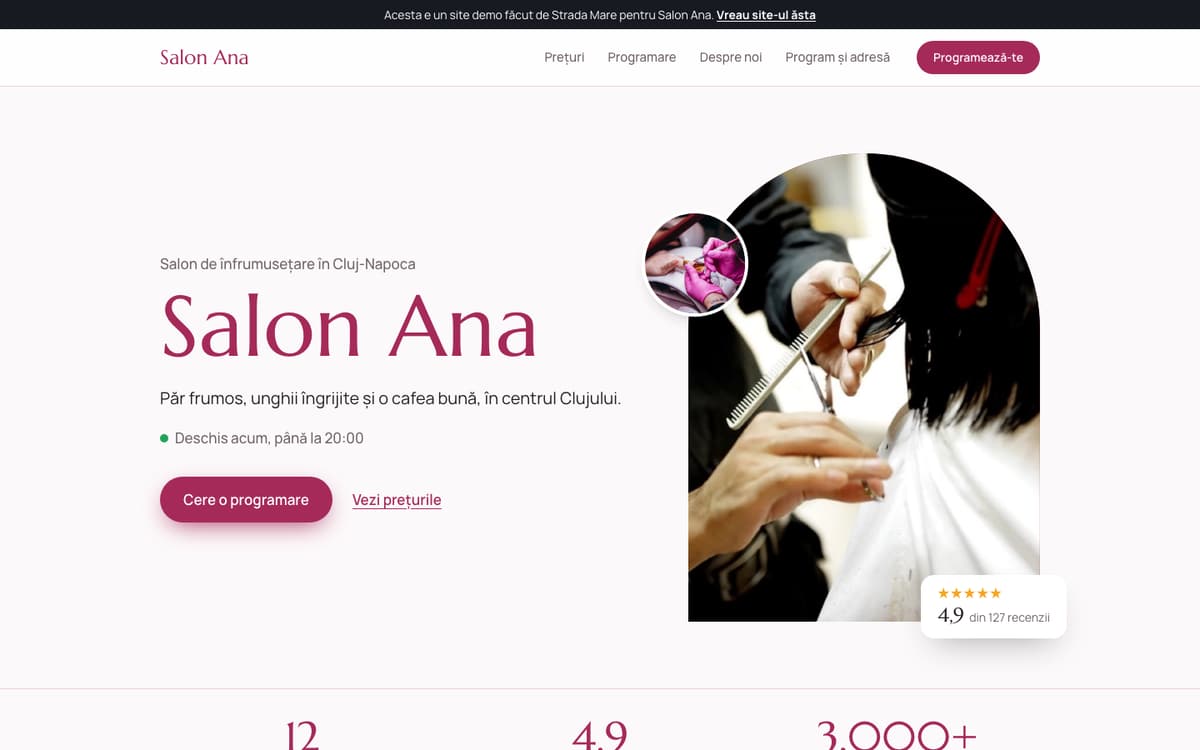 Site demo pentru salon, pe calculator